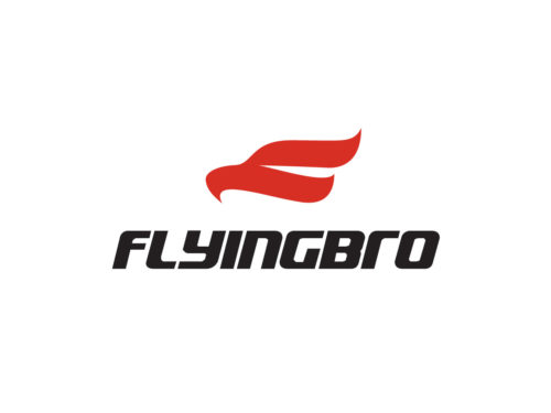 Logo Design and Branding for FlyingBro